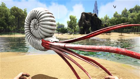 Ammonite Official Ark Survival Evolved Wiki