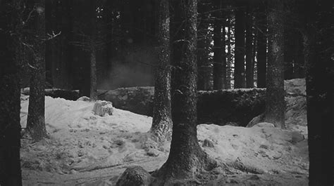 Dark Forest On Tumblr