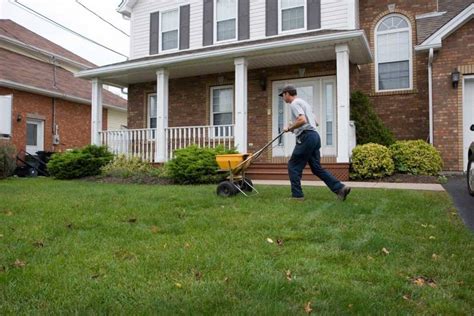 Fertilizing your garden is not something that can be done lightly. Can You Over Fertilize a Lawn? - Garden Tabs