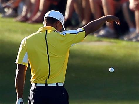 james lawton tiger woods has missed a golden opportunity to do the right thing he should have