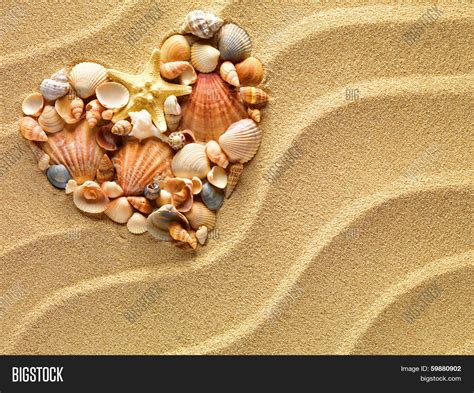 Heart Made Sea Shells Image And Photo Free Trial Bigstock