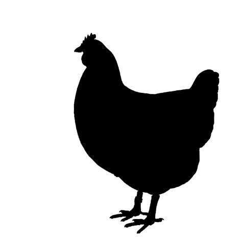 chicken silhouette vector at getdrawings free download