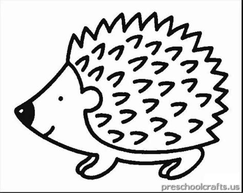 Kids Hedgehog Coloring Page Coloring Pages
