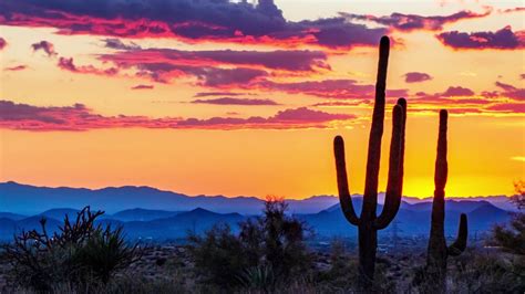 Scottsdales Sonoran Desert Enjoy The Majestic Beauty Part 1 Youtube