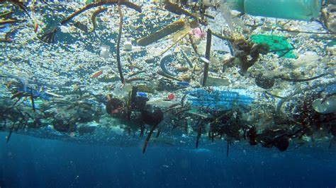 Plastikmüll Im Meer Ozean Reinigung Funktioniert Nicht Wie Erhofft Spektrum Der Wissenschaft