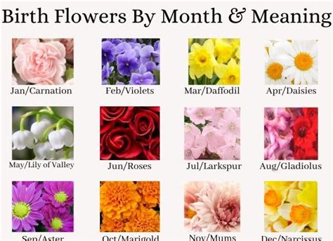 Birth month flowers are a beautiful gift to give and receive for a number of significant occasions, or for no particular reason at all, other than brightening someone's day. Birth Flowers by Month and Meaning
