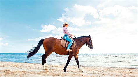Go Horse Riding On Quimixto Beach First Choice