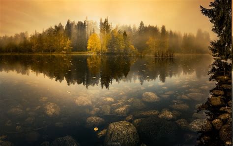 Free Download Hd Wallpaper Nature Landscape Lake Mist Forest Sunrise