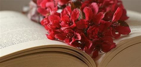 Check spelling or type a new query. شعر عن غزل - موضوع