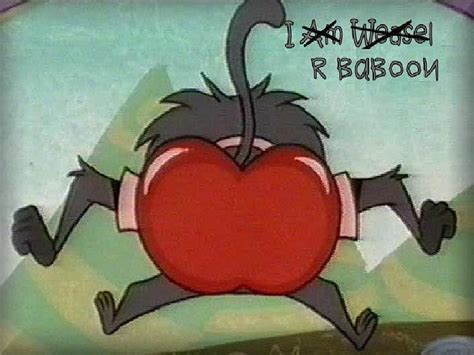 1366x768px 720p Free Download I Am Weasel I Am Baboon Weasel