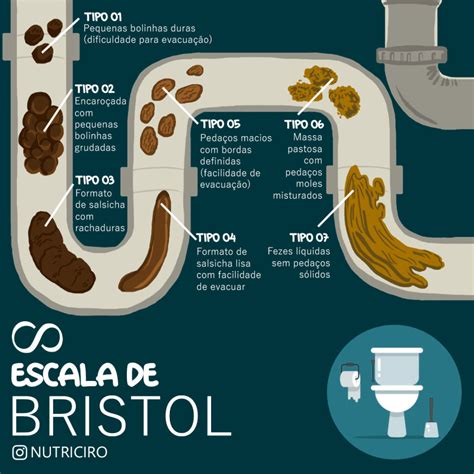Você Sabe O Que é A Escala De Bristol Blog Da Saúde