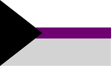 Demisexual Flags Pride Products By The Flag Shop