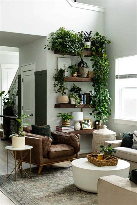 Plant Wall Shelf Ideas Plant Display Tips Love And Renovations