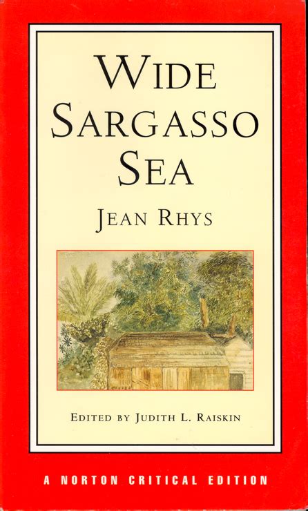 Rhys Wide Saragasso Sea Cover Designs
