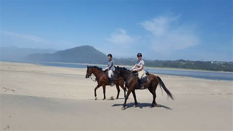 Kei River Riding Holidays | Horse riding holiday, Riding holiday, Beach rides