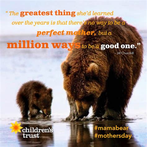 Mama Bear Quotes Quotesgram