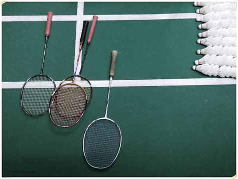 Induk Organisasi Cabang Olahraga Bulu Tangkis - Homecare24