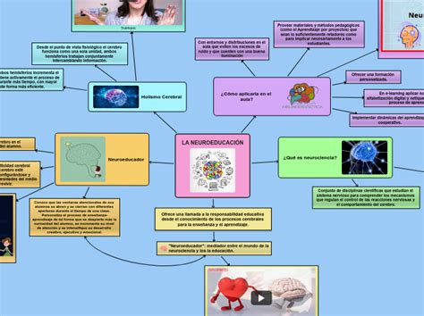 Mapa Conceptual Infografia De Neuro Didactica Y Sus Clasificaciones Porn Sex Picture