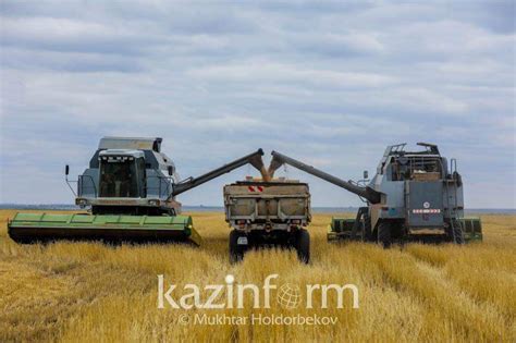 Grain Harvest Reaches 201mln Tons In Kazakhstan