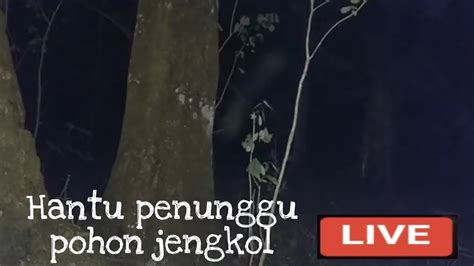 Misteri Pocong Penunggu Pohon Jengkol Youtube