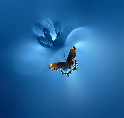 Blue Dreams Butterfly Wallpaper Backgrounds Butterfly Wallpaper