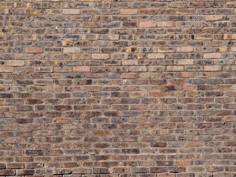 Old Brick Wall Of A University Building — Stock Photo