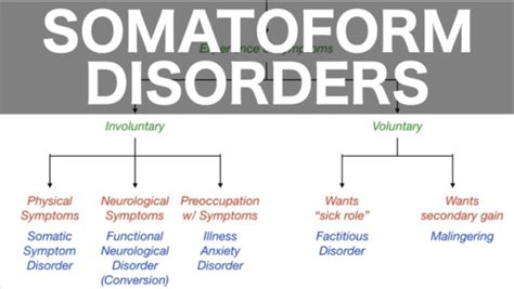 Ch 17 Somatic Symptom Disorder Flashcards Quizlet