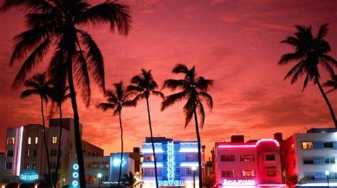 14 Places To Go In Miami That Arent Ultra