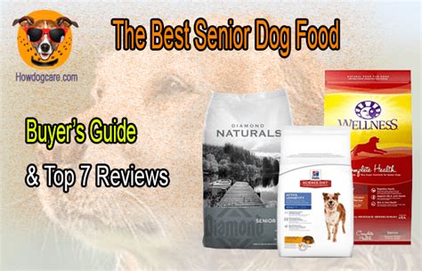 The Best Senior Dog Food Buyers Guide And Top 7 Reviews Every Dog