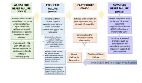Acute Heart Failure Definition Classification And Epidemiology