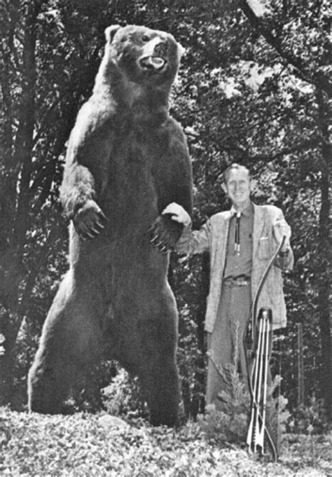 Fred Bear Greatest Bowhunter Of All Time By Mr James