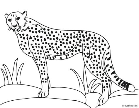 Realistic Cheetah Coloring Pages At Free Printable