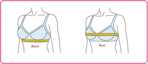 Bra Size With Chart List And Measurement