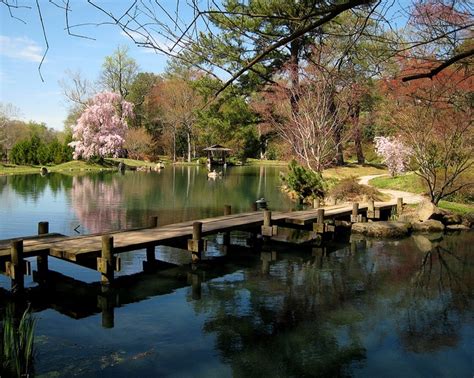 Japanese Gardens Maymont Park Richmond Virginia