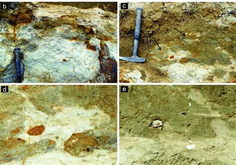 Details Of The Cretaceous Paleogene Boundary Interval At Nasiłów Shown