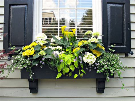 If you want to add visual interest and a splash of color to your home, window boxes filled with different combinations of plants will be a great idea.the essential attractiveness of window boxes is cute gardens in miniature. Beautiful DIY Window Box Ideas with Curb Appeal - The ...