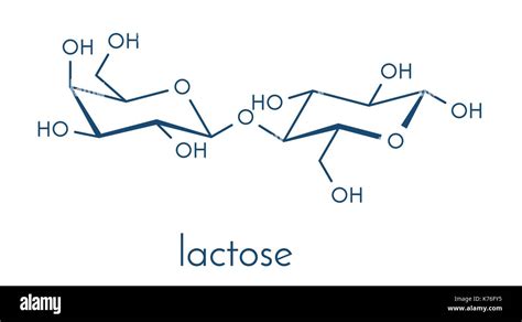 Lactose Milk Sugar Molecule Skeletal Formula Stock Vector Image Art