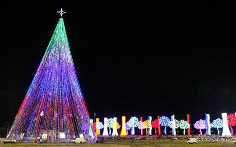 Inaugurarán Gigantesco árbol De Navidad En Managua