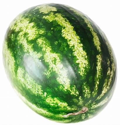 Watermelon Transparent Melon Citrullus Lanatus Pngpix Purepng