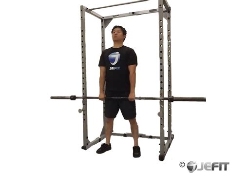Learn how to rack pull in our step by step tutorial!subscribe. Barbell Rack Pulls - Exercise Database | Jefit - Best ...