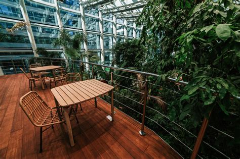 Dżungla W Sercu Biurowca Olivia Business Centre Otwiera Całoroczny Ogród
