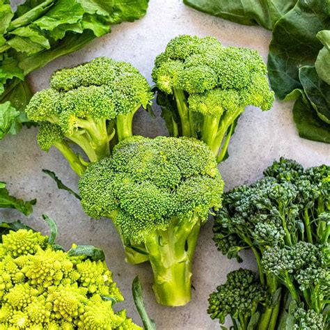 Types Of Broccoli Jessica Gavin