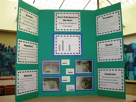 10 Famous Science Project Display Board Ideas 2024