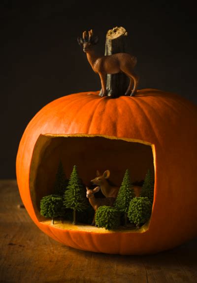 Best Pumpkin Carving Ideas Trends And Events 2014 Part 5