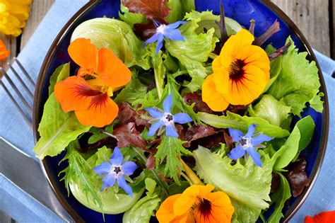 Real Food Encyclopedia | Edible Flowers | FoodPrint