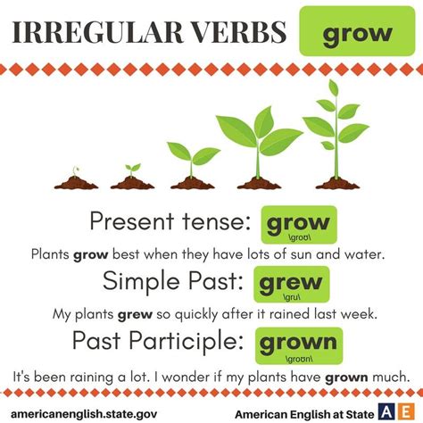 Irregular Verbs Grow English Phonics English Vocabulary Words