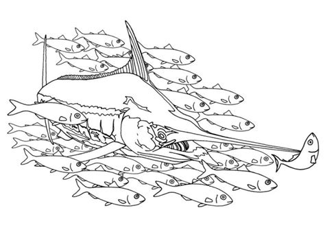 Select one of 1000 printable coloring pages of the category fish. Coloring page swordfish in a school of fish | Coloring ...