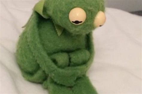 Twitter Turned This Sad Kermit Into An Emotional Roller