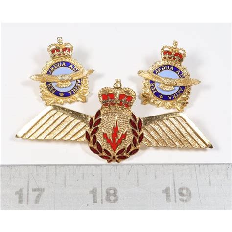 273 Royal Canadian Air Force Rcaf Wing