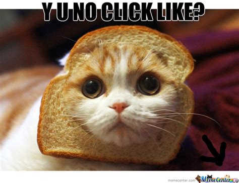 The best gifs for cat latches onto loaf of bread. Cat Bread by thatguyxlr - Meme Center